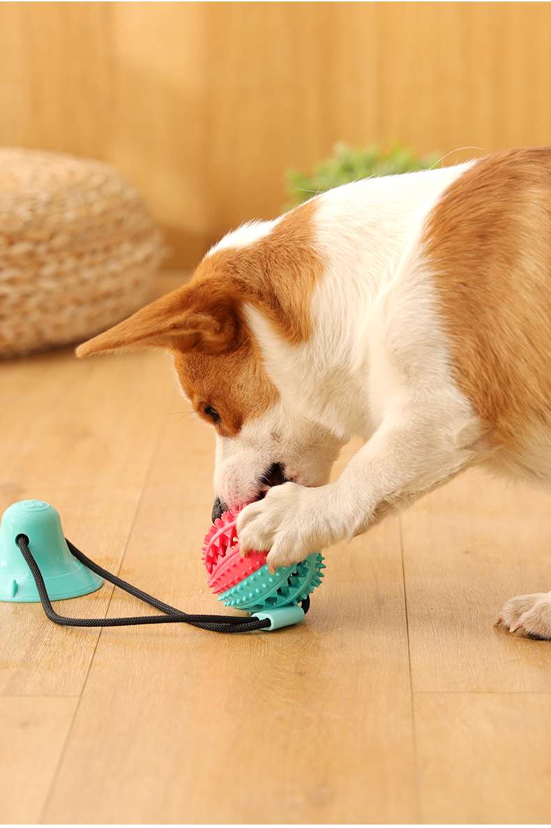 犬のおもちゃ デンタルクリーン 秒変漏食ボール