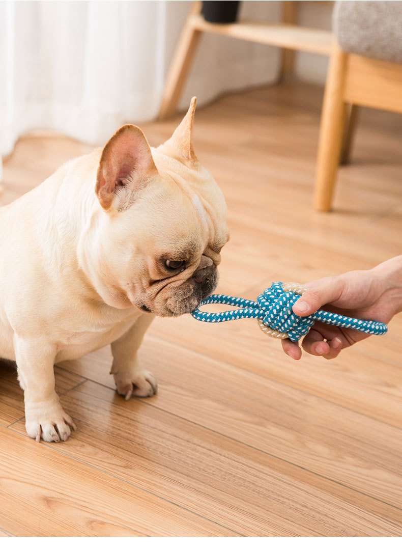 犬のおもちゃ わんちゃんの歯磨きロープ