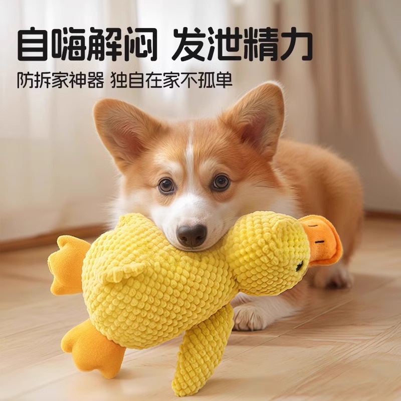 https://fulmo-img-server.com/inu-happy/d0bf4891-7253-4255-98d3-8dde825093aa.jpg
