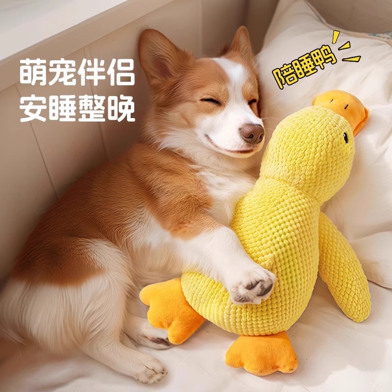 https://fulmo-img-server.com/inu-happy/d28dbd7a-aaec-4374-8e9a-4f45df3e4fb1.jpg