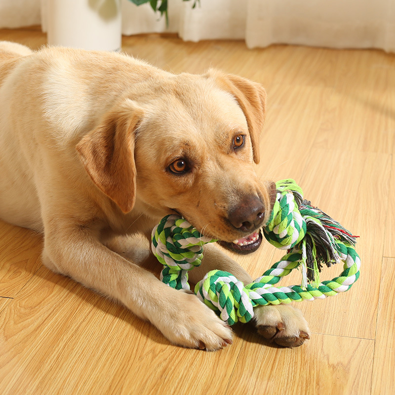 犬のおもちゃ わんこ喜ぶ結び目ロープ