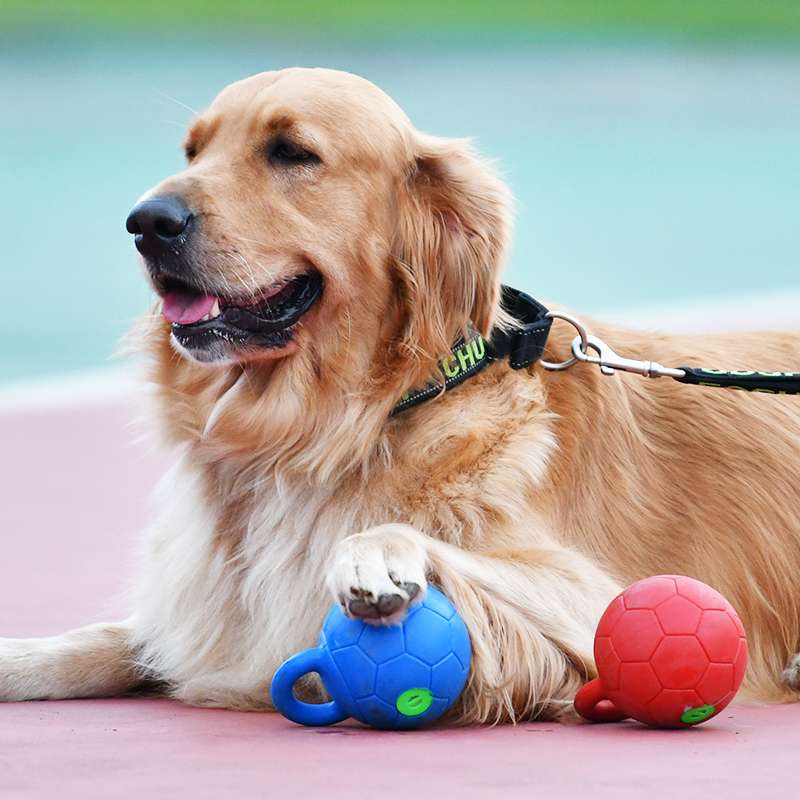 犬のおもちゃ  持ち手付き愛犬用ボール