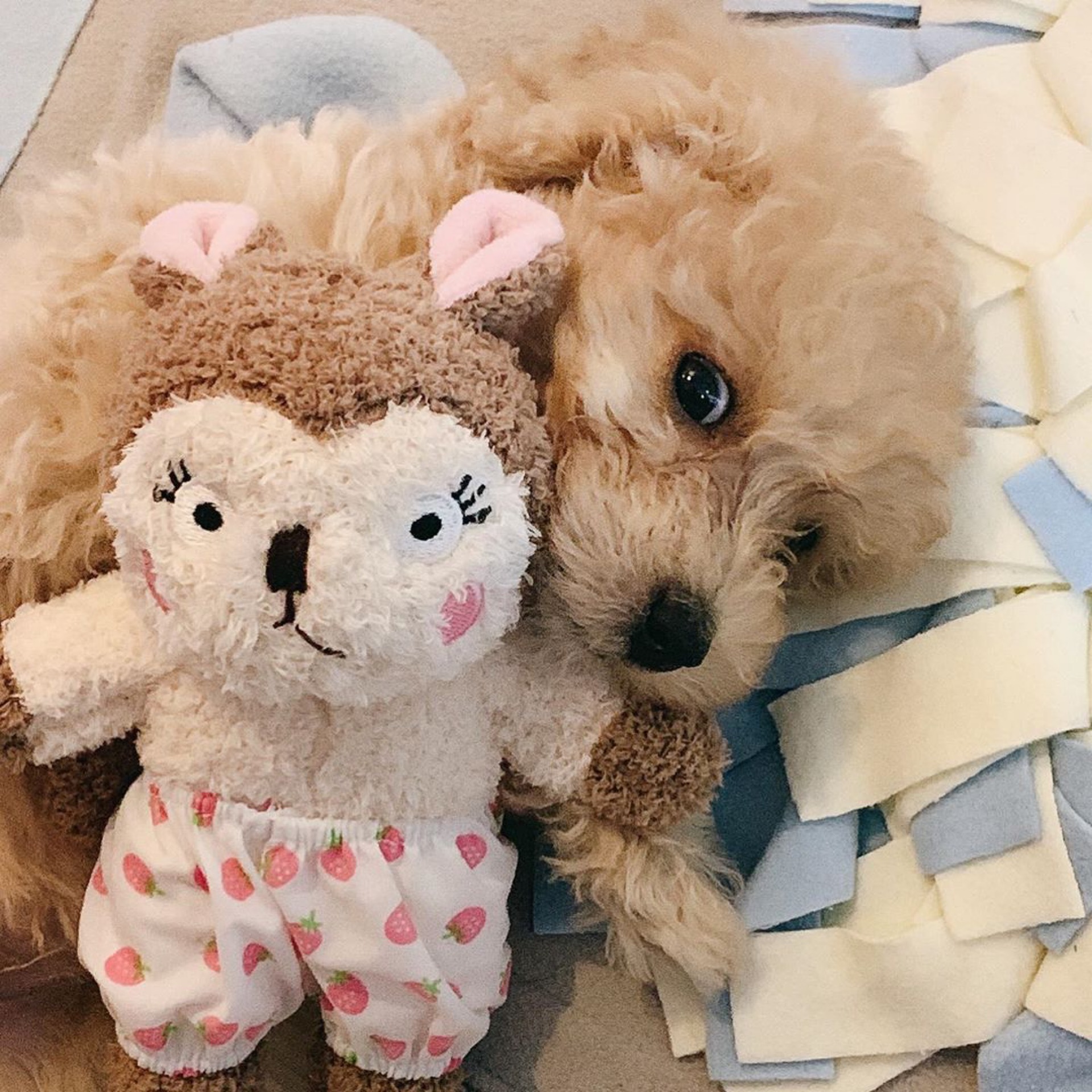 犬のおもちゃ 
