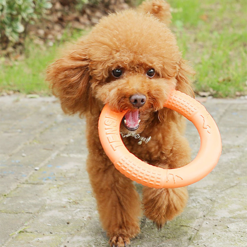 犬のおもちゃ わんわん輪っかトレーナー