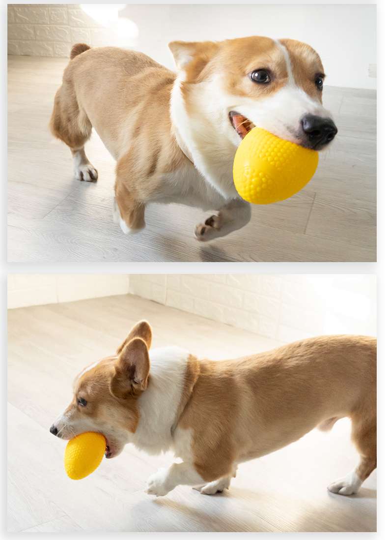 犬のおもちゃ  わんちゃん大好き！ 噛んで遊べる発声ボール