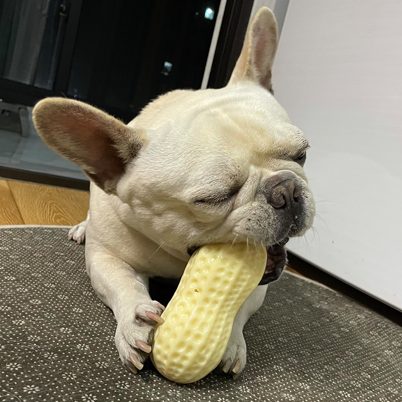 犬のおもちゃ まめまめデンタルトイ