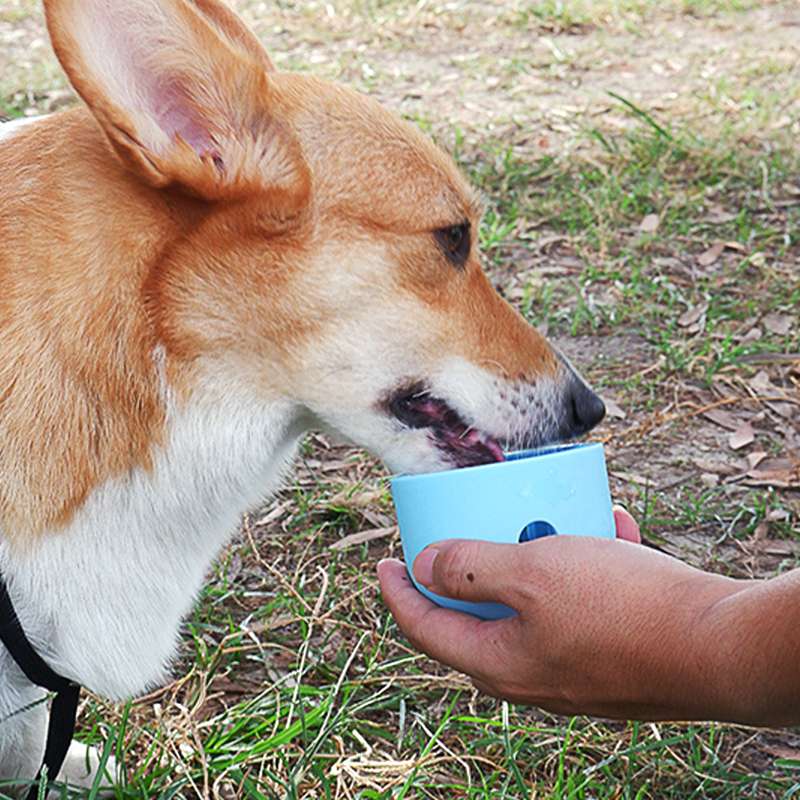 犬 おもちゃ 知育 | 知育ボール型おやつ入れ