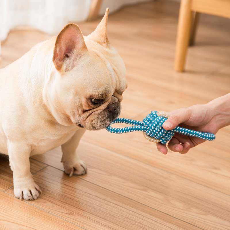 犬 おもちゃ ロープ | 愛犬喜ぶ結び目おもちゃ