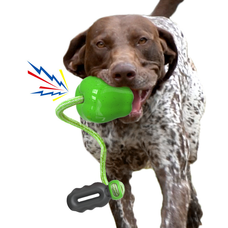 犬のおもちゃ ロープ付き鳴るゴムボール犬用噛むおもちゃ