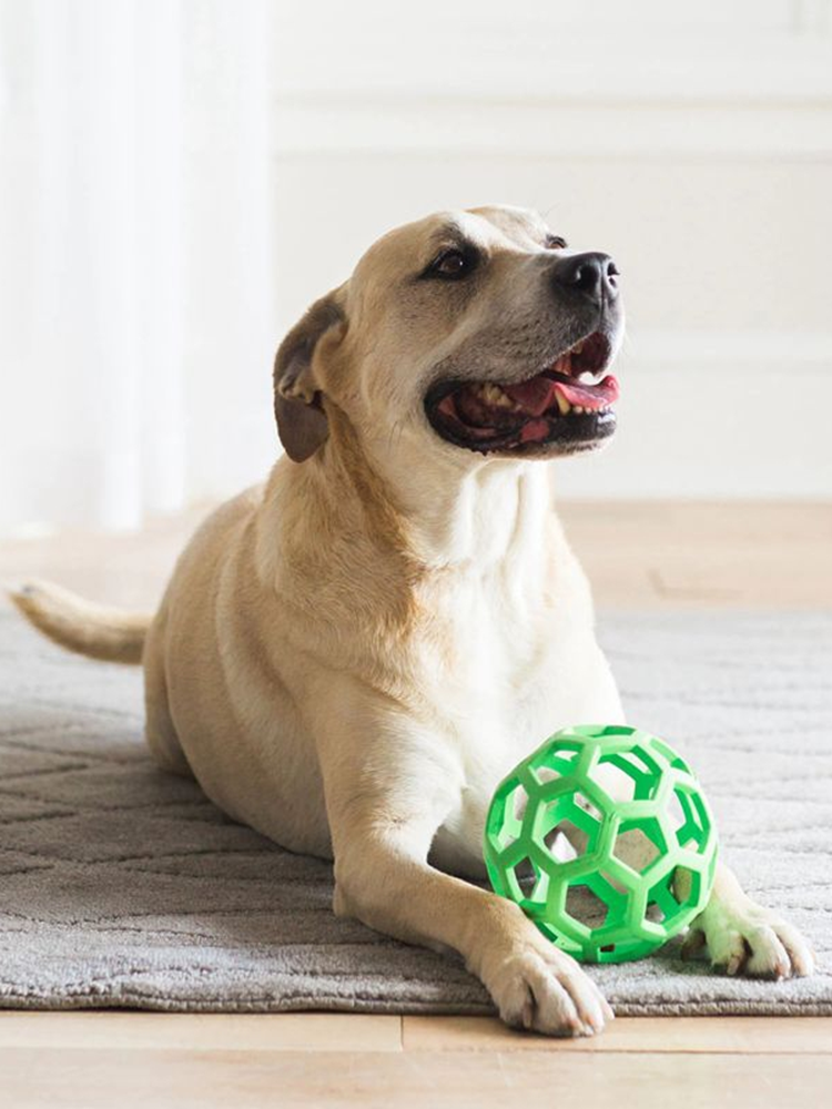 犬のおもちゃ 犬のおもちゃ 六角網目ボール