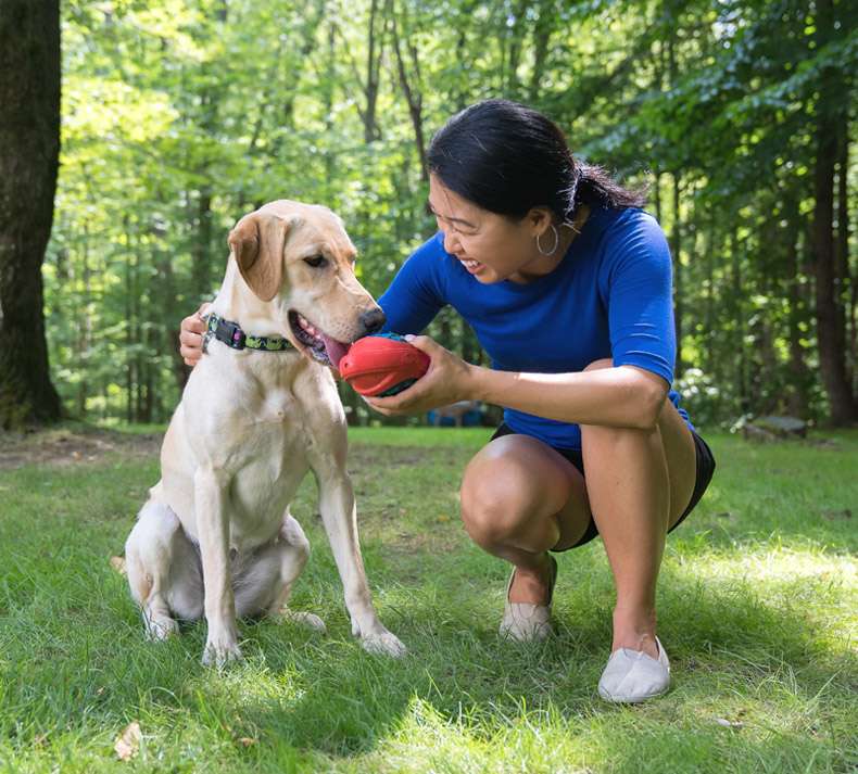 犬のおもちゃ  噛みごたえ抜群！飛びつき倒せボール