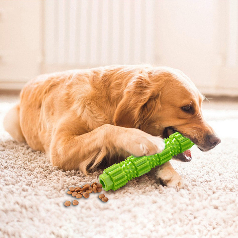 犬のおもちゃ デンタルスティック ギアポール