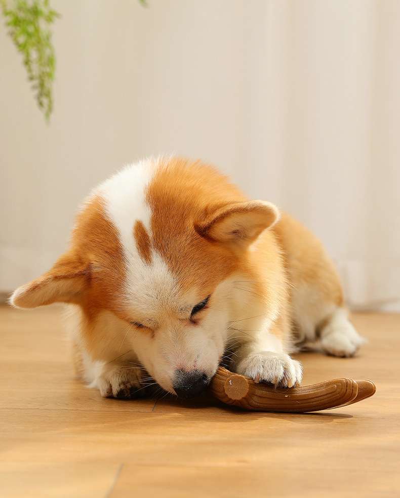 犬のおもちゃ  天然木製 噛み心地抜群のワンちゃん用おもちゃ