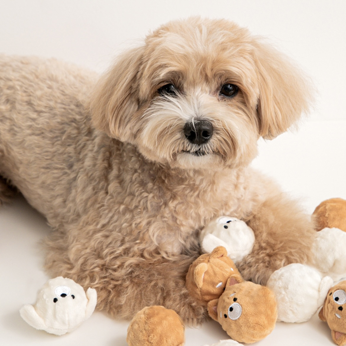犬のおもちゃ もちもちミニ動物ぬいぐるみセット