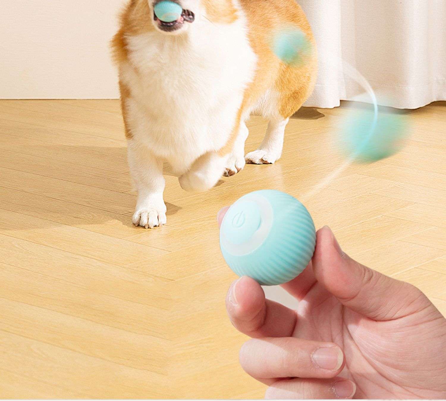 犬 おもちゃ ボール | 電動ペット遊びボール