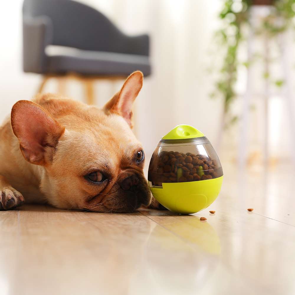 犬のおもちゃ  わんちゃんの知恵袋 おやつディスペンサー