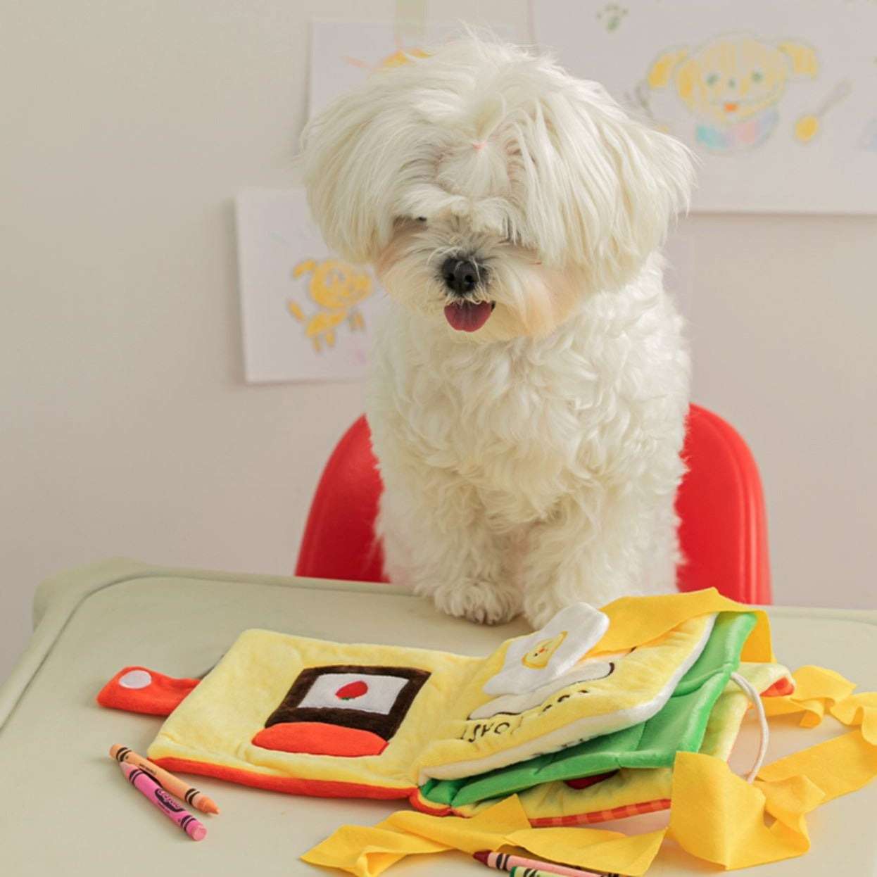 犬のおもちゃ  わんちゃんの知育布絵本セット