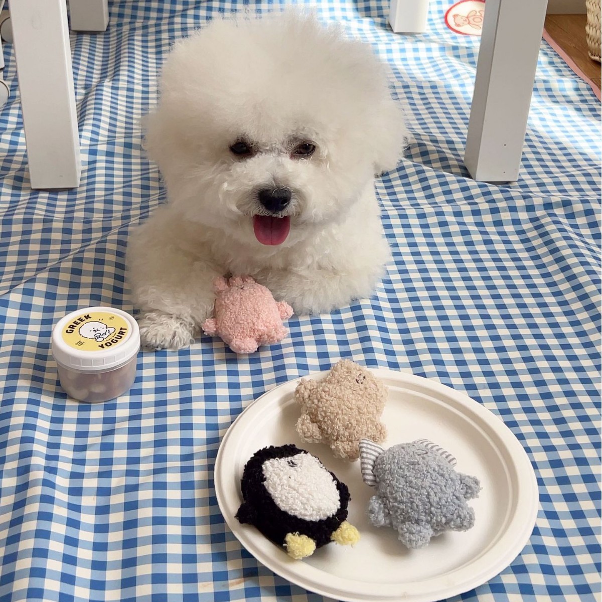 犬のおもちゃ もこもこ動物園ぬいぐるみセット
