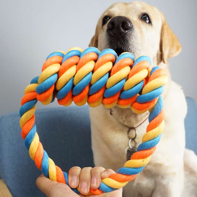 犬のおもちゃ わんちゃんの歯磨きおもちゃ