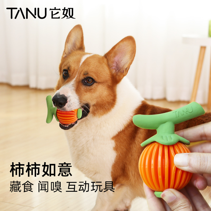 犬のおもちゃ かぼちゃ型餌隠し知育玩具