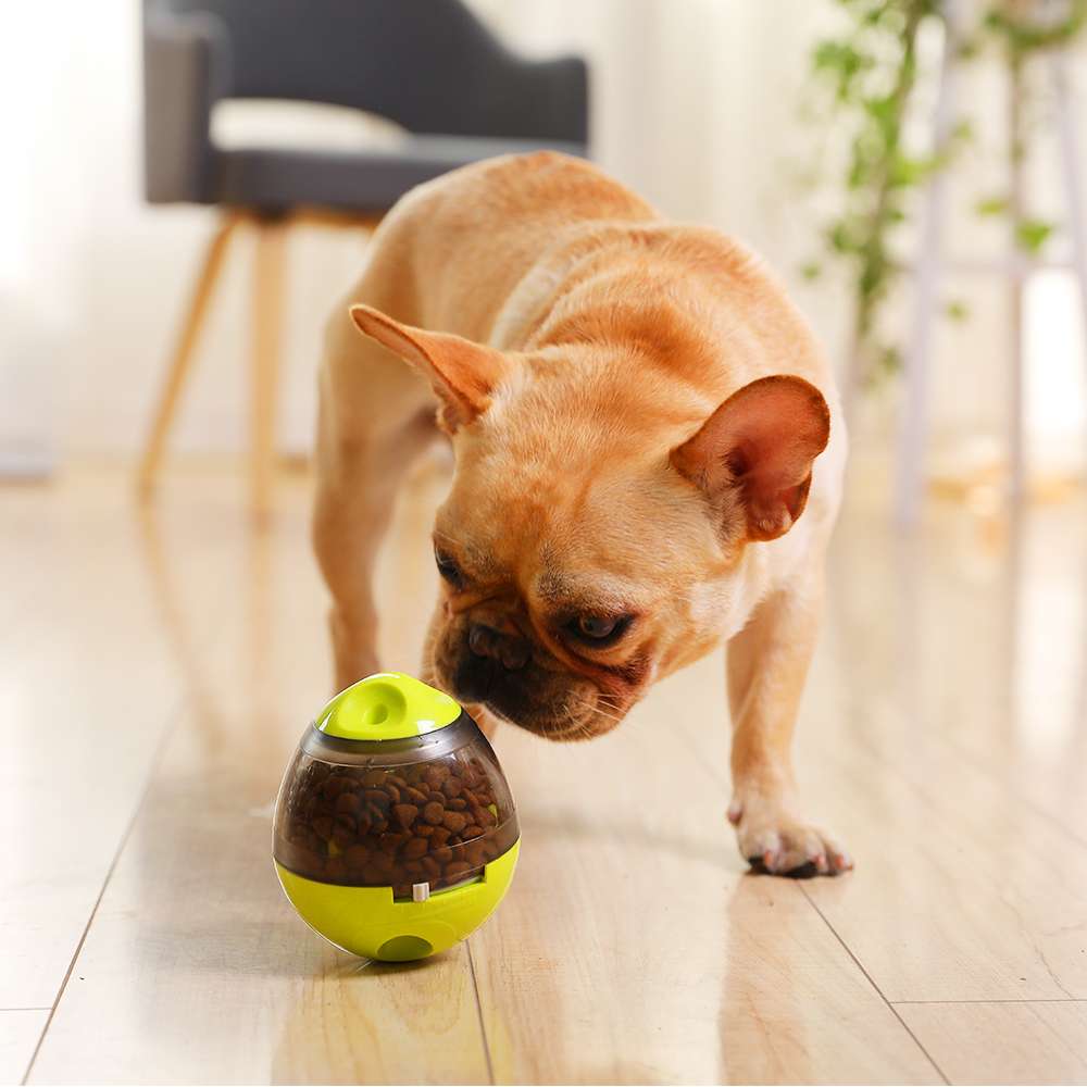 犬のおもちゃ  わんちゃんの知恵袋 おやつディスペンサー