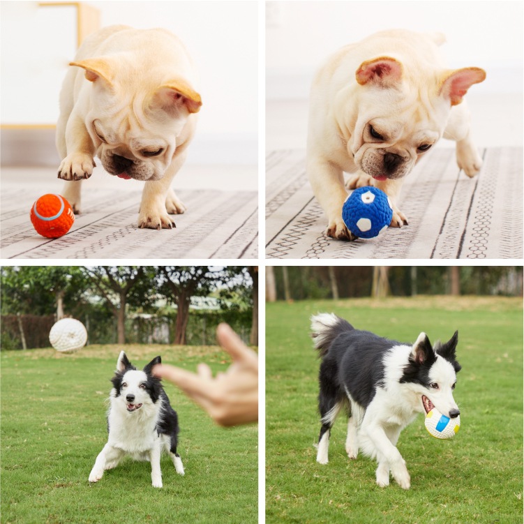 犬のおもちゃ スポーティバラエティボール