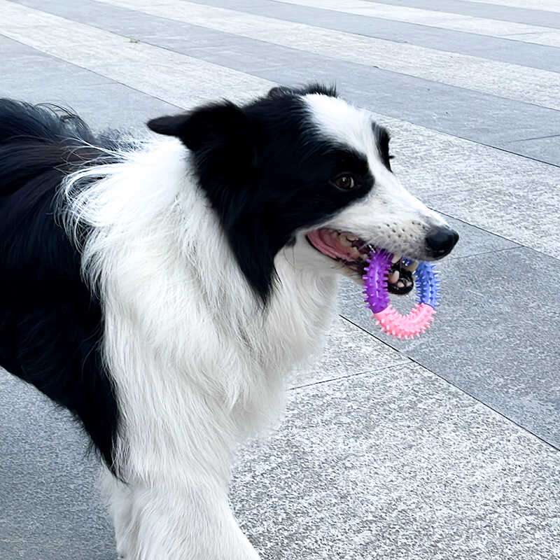 犬のおもちゃ もっちもち歯磨きリング