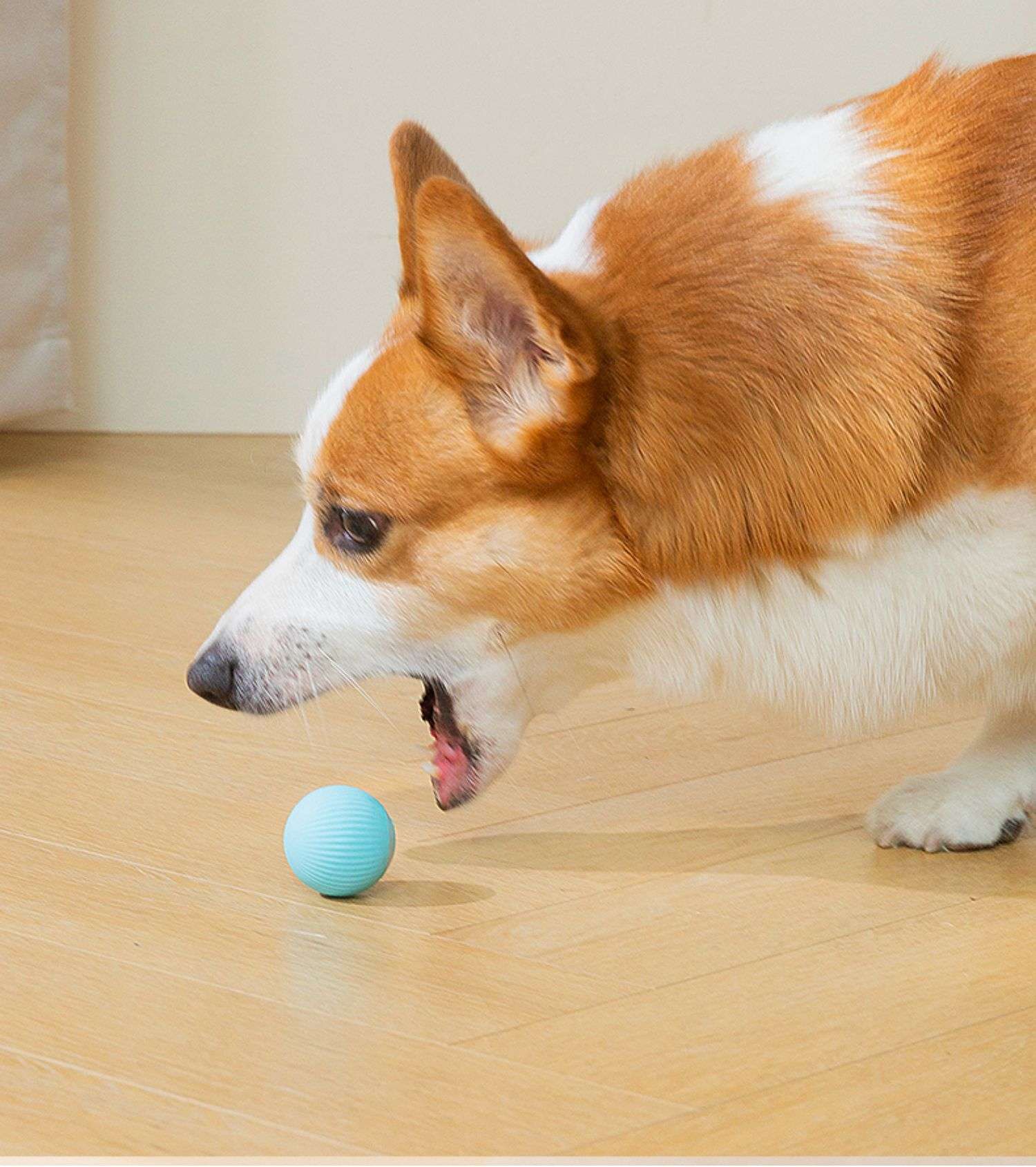 犬 おもちゃ ボール | 電動ペット遊びボール