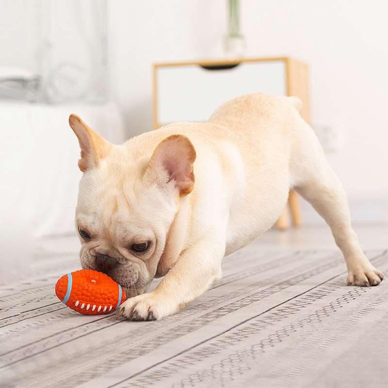 犬のおもちゃ わんちゃんの歯磨きスポーツボール