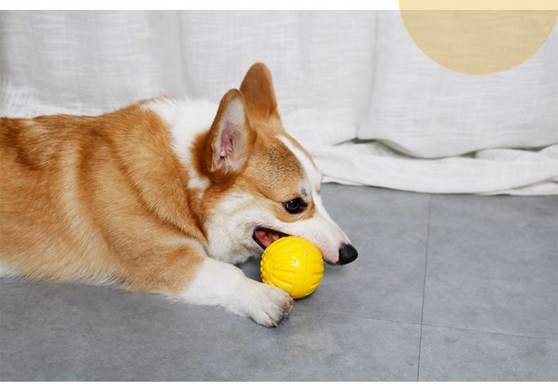 犬のおもちゃ  わんちゃんの歯磨きトレーニングおもちゃ