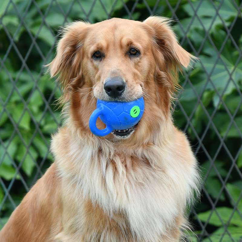 犬のおもちゃ  持ち手付き愛犬用ボール