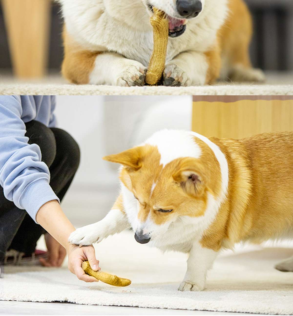 犬のおもちゃ  愛犬用天然木の骨型歯磨きおもちゃ