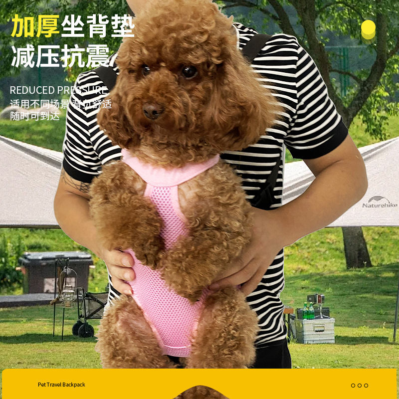 https://fulmo-img-server.com/inukaban/12cb54ef-f2a6-4d4c-928b-54b567f57c65.jpg