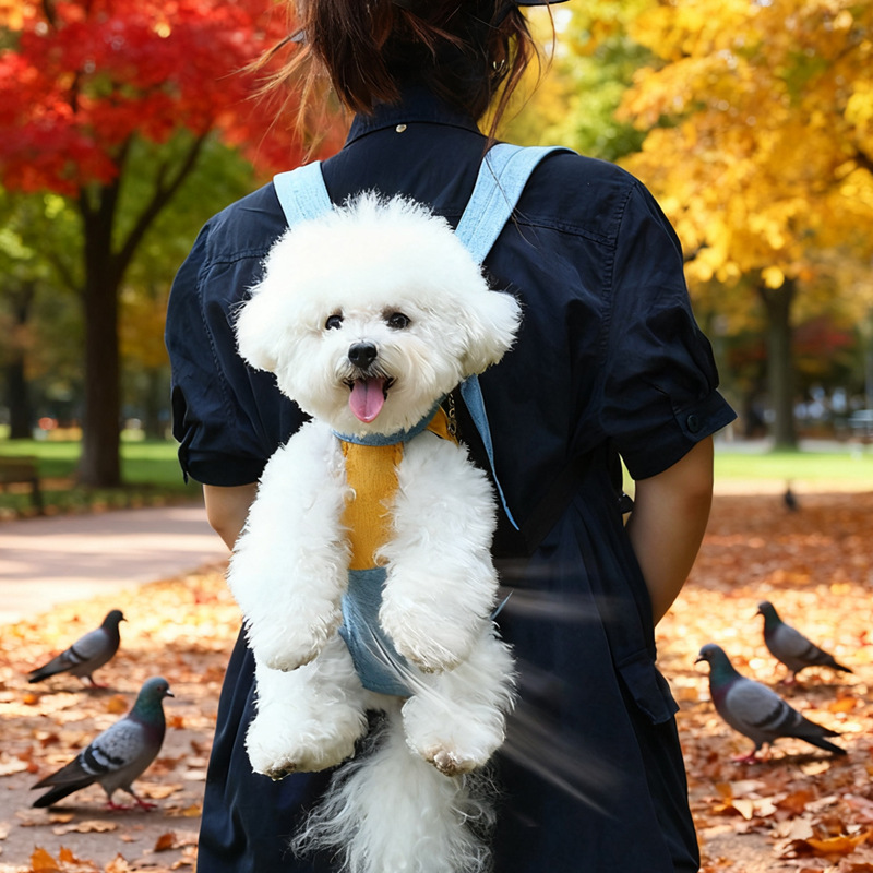 犬バッグ 小型犬用前抱きキャリーリュック