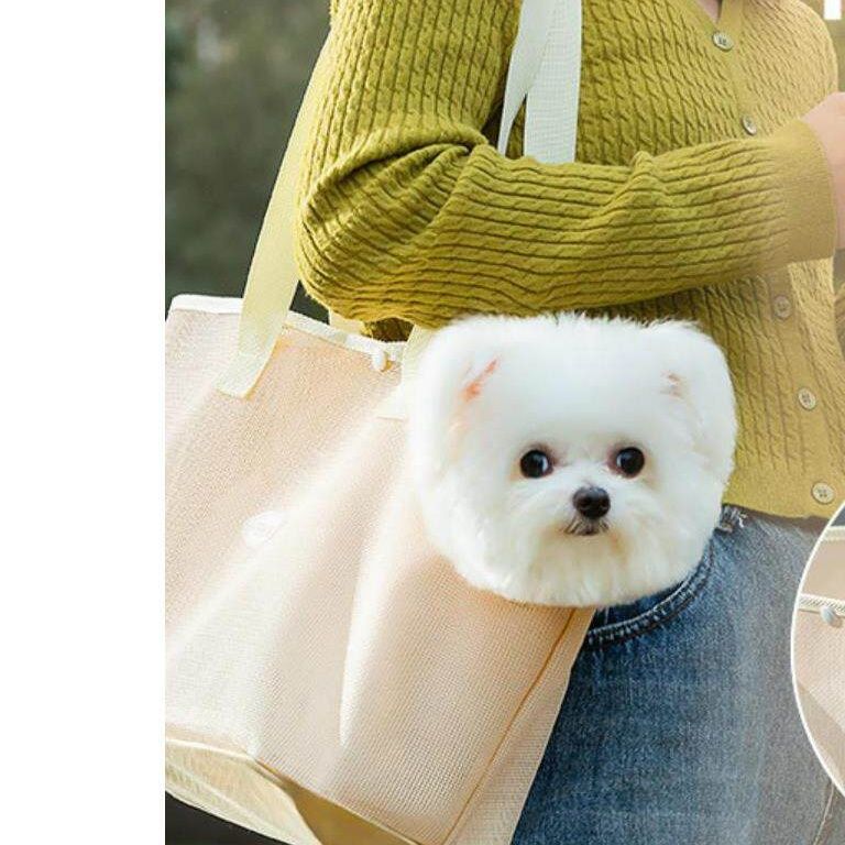 お出かけにおすすめの犬用バック5選！移動中も愛犬が安心して過ごせて飼い主の負担も少ない