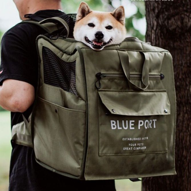 犬用の避難リュック5選！愛犬も安心して入れられて移動時の負担軽減