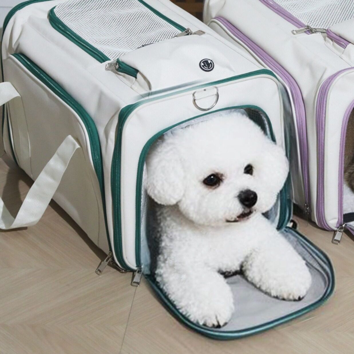 犬バッグ 拡張式通気性抜群ペット用キャリーバッグ