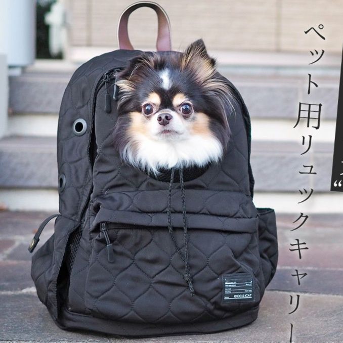 犬バッグ 小型犬用顔出し窓付き軽量キルティングリュック