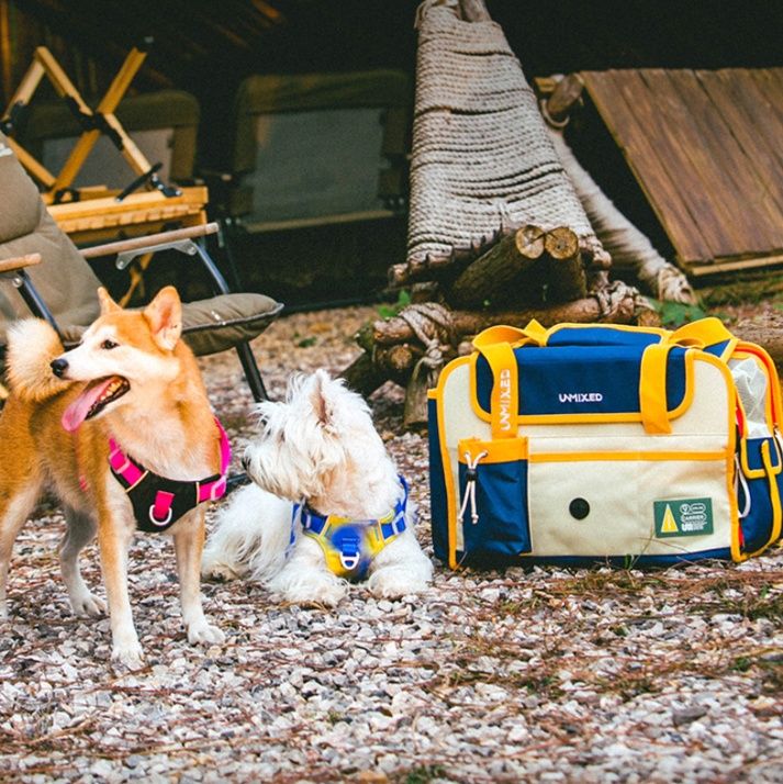 犬バッグ 通気性抜群メッシュ窓付き小型犬用お出かけトート