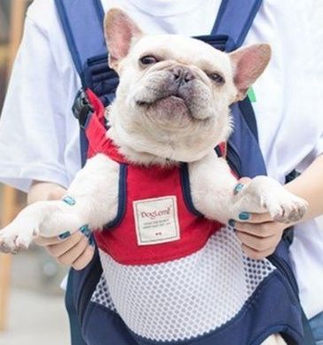 犬バッグ 小型犬用前抱きキャリーリュック