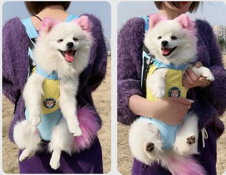 犬バッグ 背負い式ペット用抱っこ紐リュック