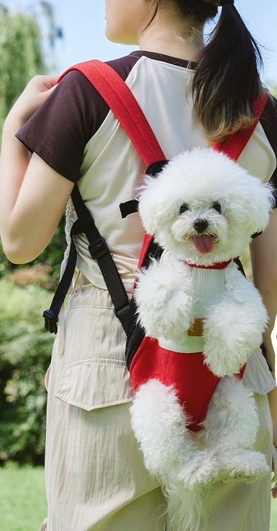 https://fulmo-img-server.com/inukaban/1783047026135_2knokbdh_1iwzywpf.jpeg
