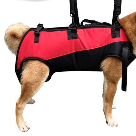 https://fulmo-img-server.com/inukaban/1785384234328_tbovmvrg_3xfk8wml.jpeg