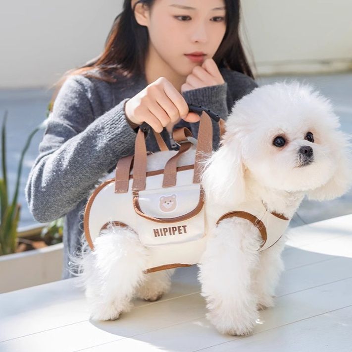 https://fulmo-img-server.com/inukaban/1785472777733_19s5p9dw_s7qjv4ys.jpeg