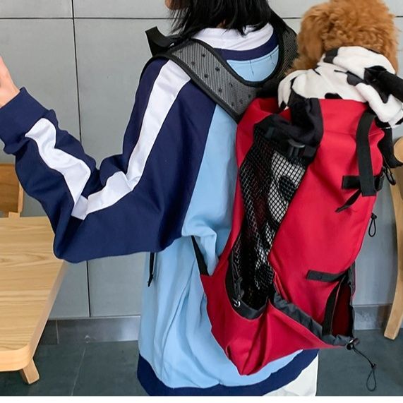 https://fulmo-img-server.com/inukaban/1785473605045_1jwnbj29_2fqyewrc.jpeg