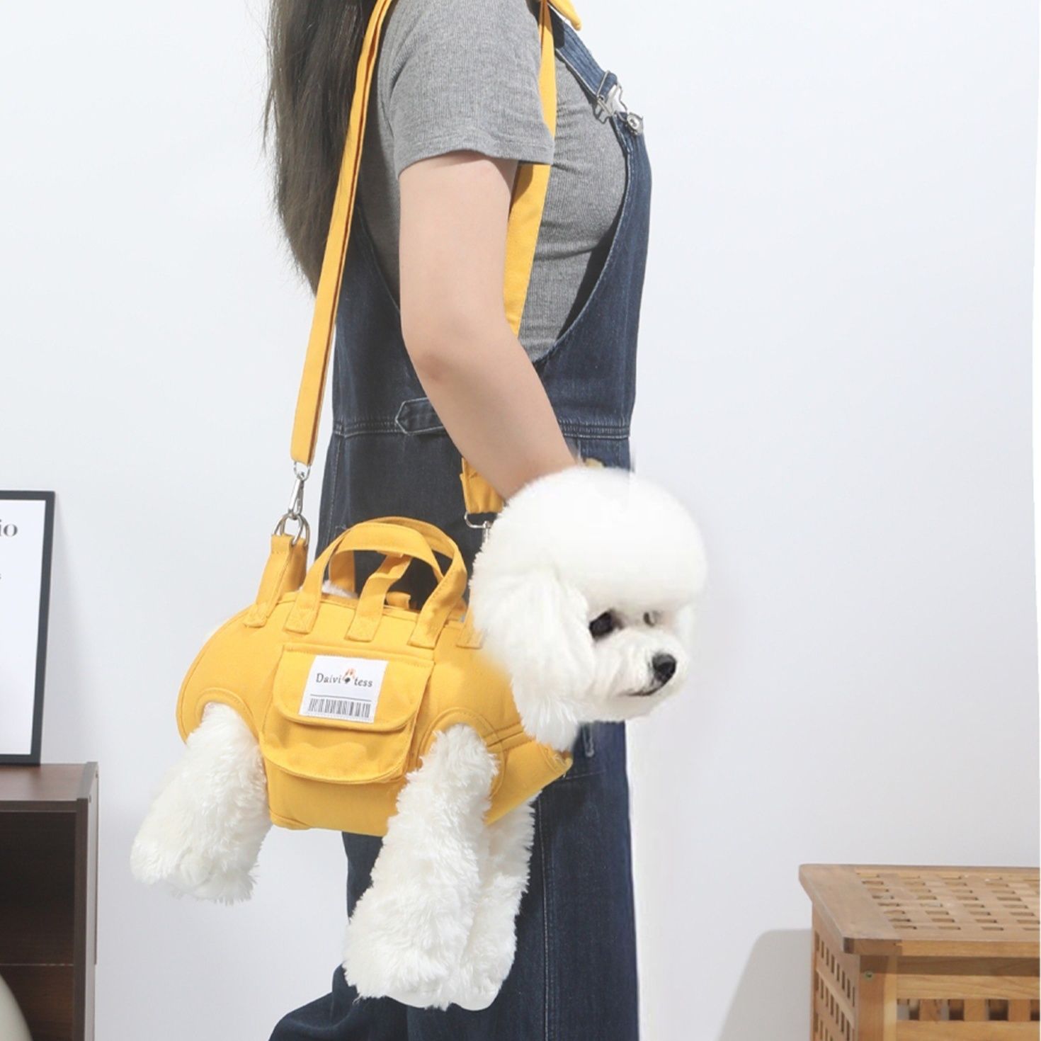 https://fulmo-img-server.com/inukaban/1787892577622_b5w2sbgi_mem3vdp5.jpeg