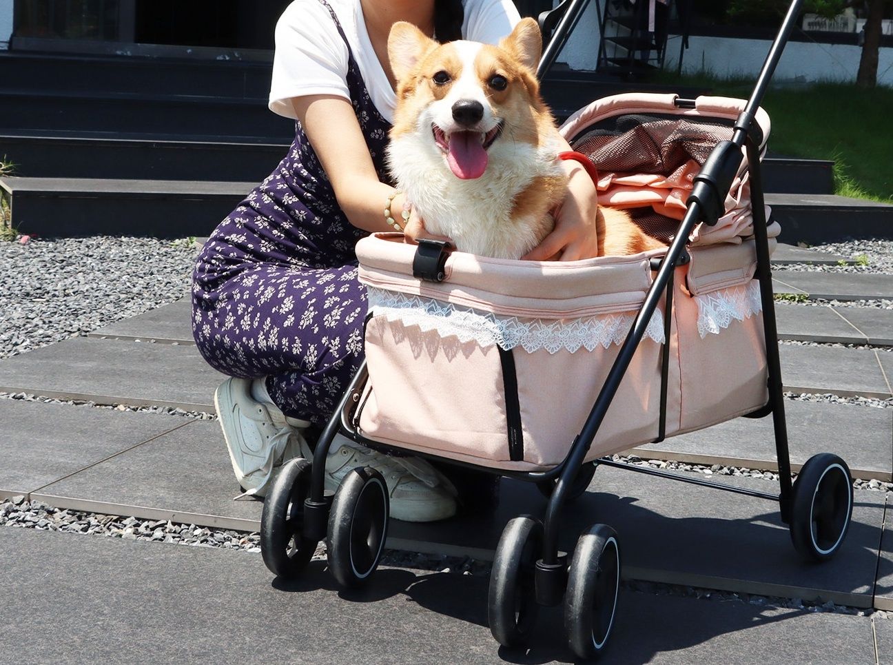 https://fulmo-img-server.com/inukaban/1787894356228_22xpp6ei_ih8tcr25.jpeg