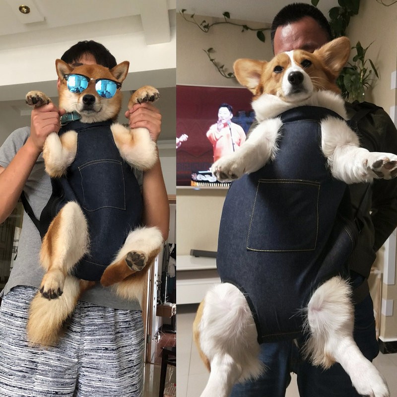 犬バッグ 愛犬と一緒におでかけ デニム調犬用抱っこリュック