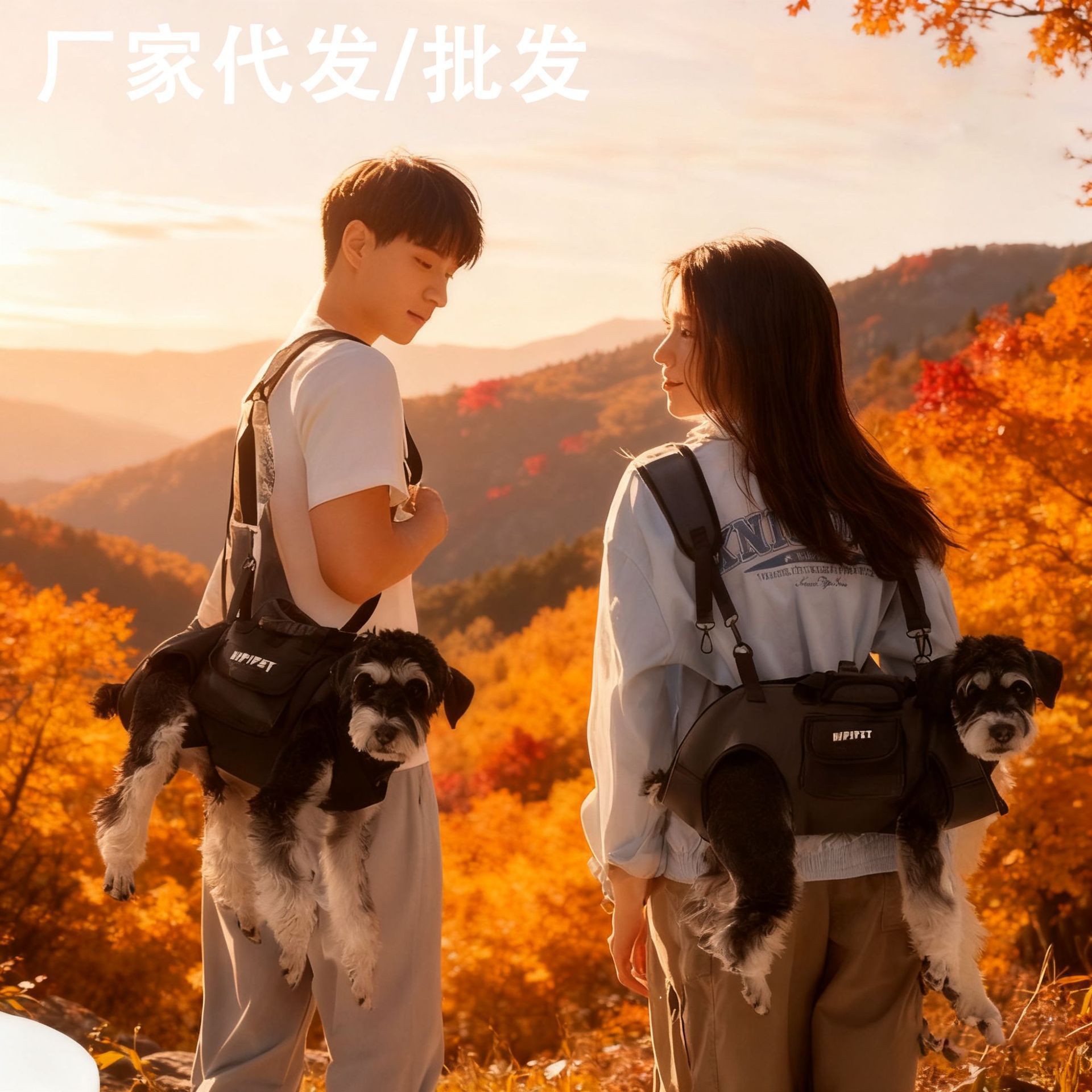 犬バッグ 多機能ショルダー式犬用キャリーバッグ