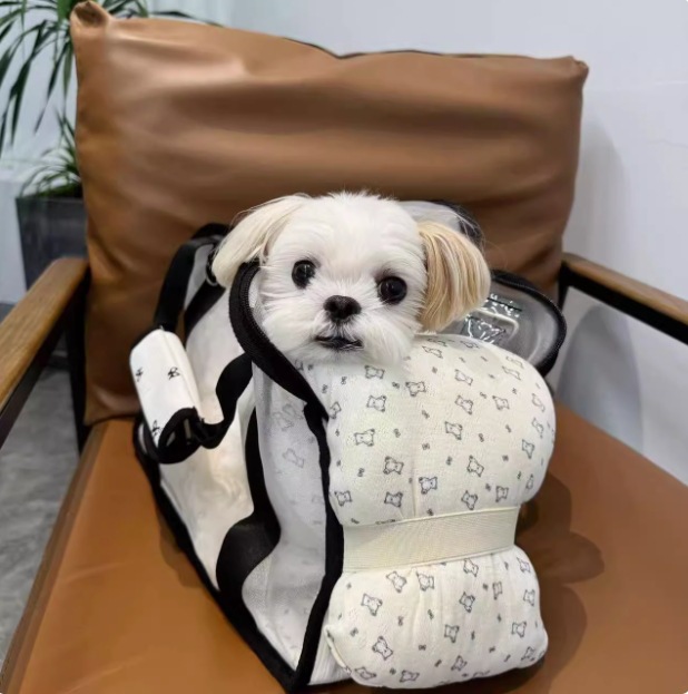 https://fulmo-img-server.com/inukaban/4426cfd4-eeda-4da3-92bb-30a701b54837.jpg